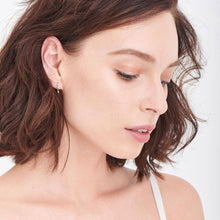 Load image into Gallery viewer, Silver Shimmer Stud Hook Earrings