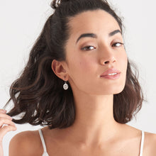 Load image into Gallery viewer, Silver Emblem Hook Earrings