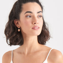 Load image into Gallery viewer, Rose Gold Emblem Hook Earrings