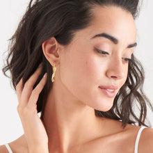 Load image into Gallery viewer, Gold Helix Hook Earrings