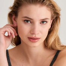 Load image into Gallery viewer, Gold Curb Chain Stud Earrings