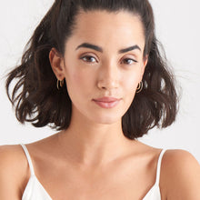 Load image into Gallery viewer, Gold Twist Through Earrings