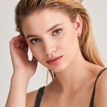 Load image into Gallery viewer, Silver Oval Double Hoop Earrings