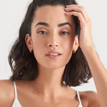 Load image into Gallery viewer, Gold Luxe Hook Earrings