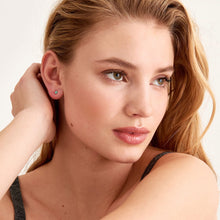 Load image into Gallery viewer, Gold Tidal Abalone Double Stud Earrings