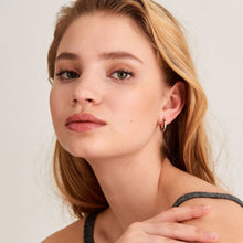 Load image into Gallery viewer, Gold Tidal Abalone Crescent Earrings