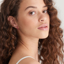 Load image into Gallery viewer, Berry Enamel Thick Gold Hoop Earrings