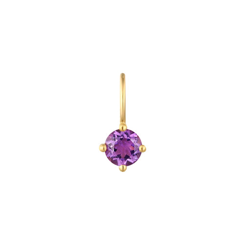 FEBRUARY | Amethyst Necklace Charm Necklace Charms AURELIE GI 