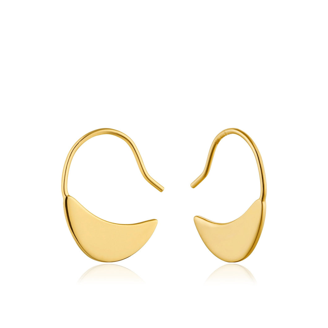 Gold Geometry Hook Earrings