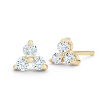 Load image into Gallery viewer, diamond rio earrings
